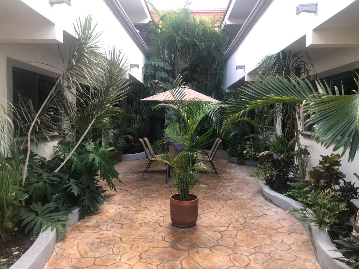 Mayan Caribe Apart-Hotel Плая дел Кармен Екстериор снимка
